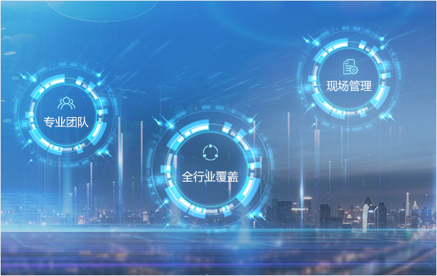 全线SAP实施服务