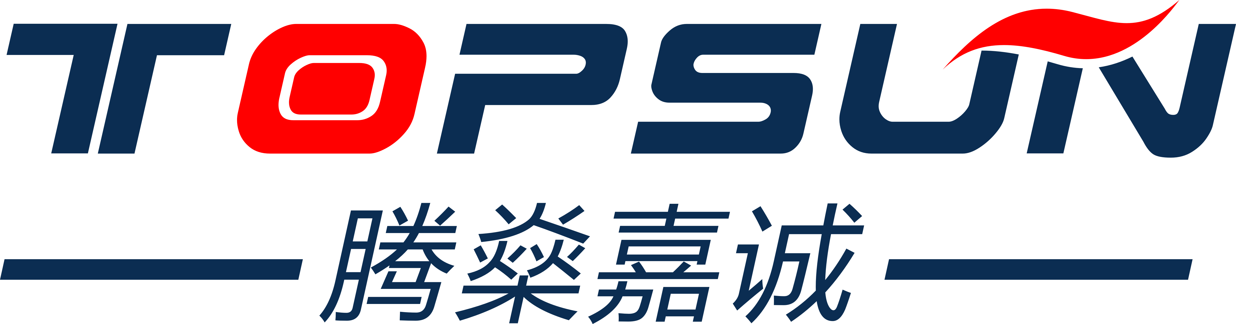 TOPSUN LOGO.png